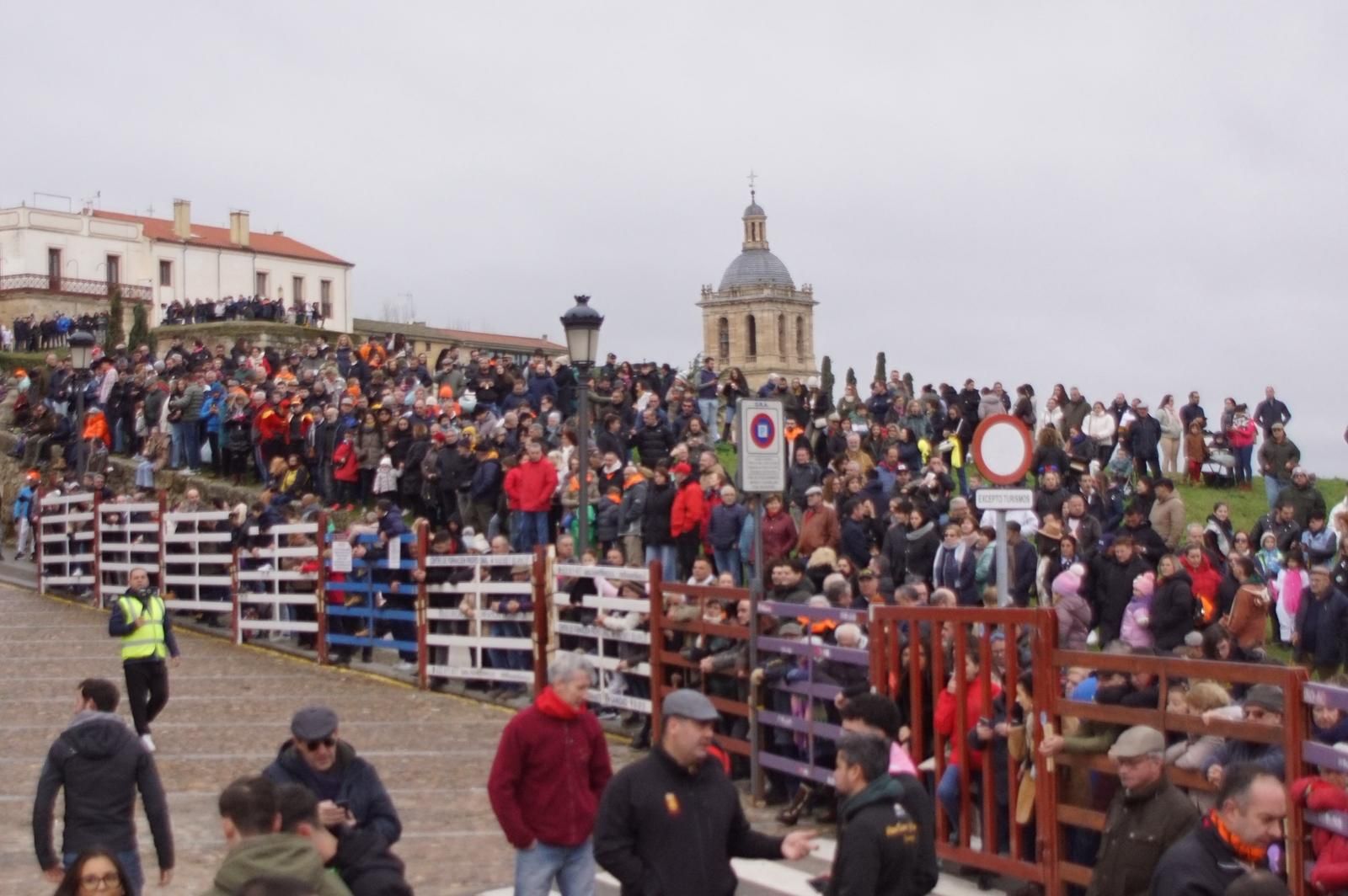 Capea matinal de domingo de carnaval en Ciudad Rodrigo (87).jpeg