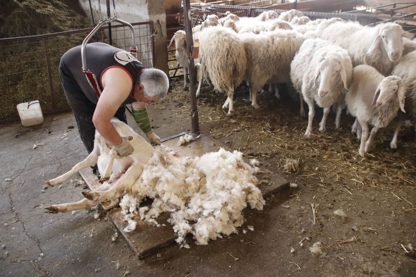 20220520103140-mg-8477