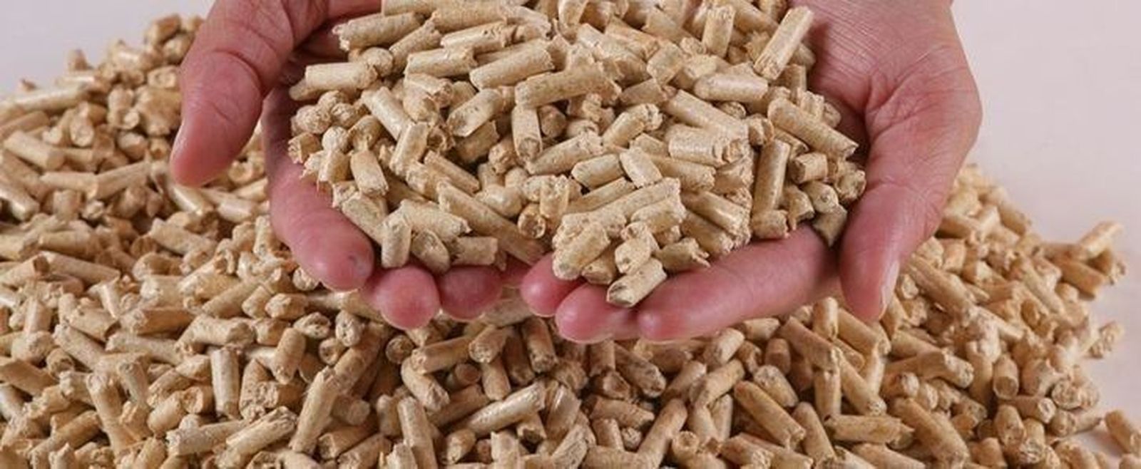 Castilla y León lidera la producción de pellets en España.
