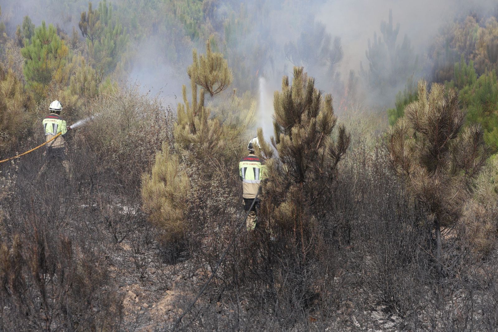 Incendio de Puercas. La situación entre Abejera y Riofrío