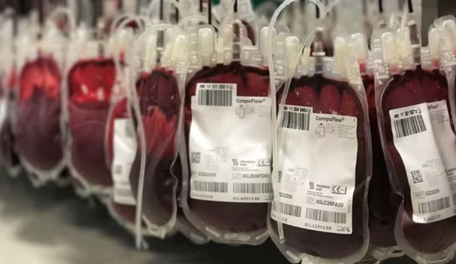 Imagen de bolsas de sangre tras donaciones de sangre y plasma