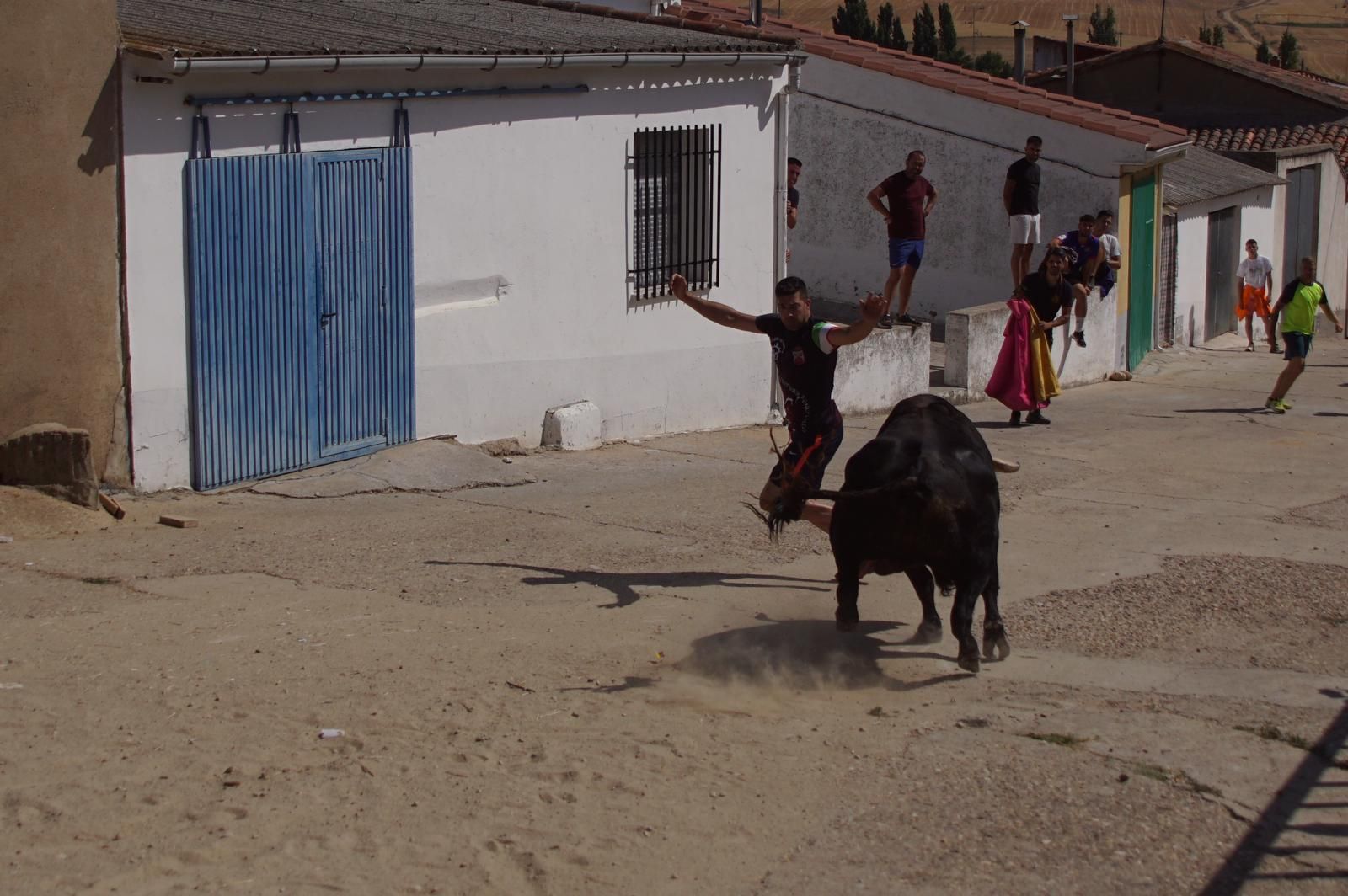 toro-de-cajon-de-castrillo-de-la-guarena-fotos-juanes-18