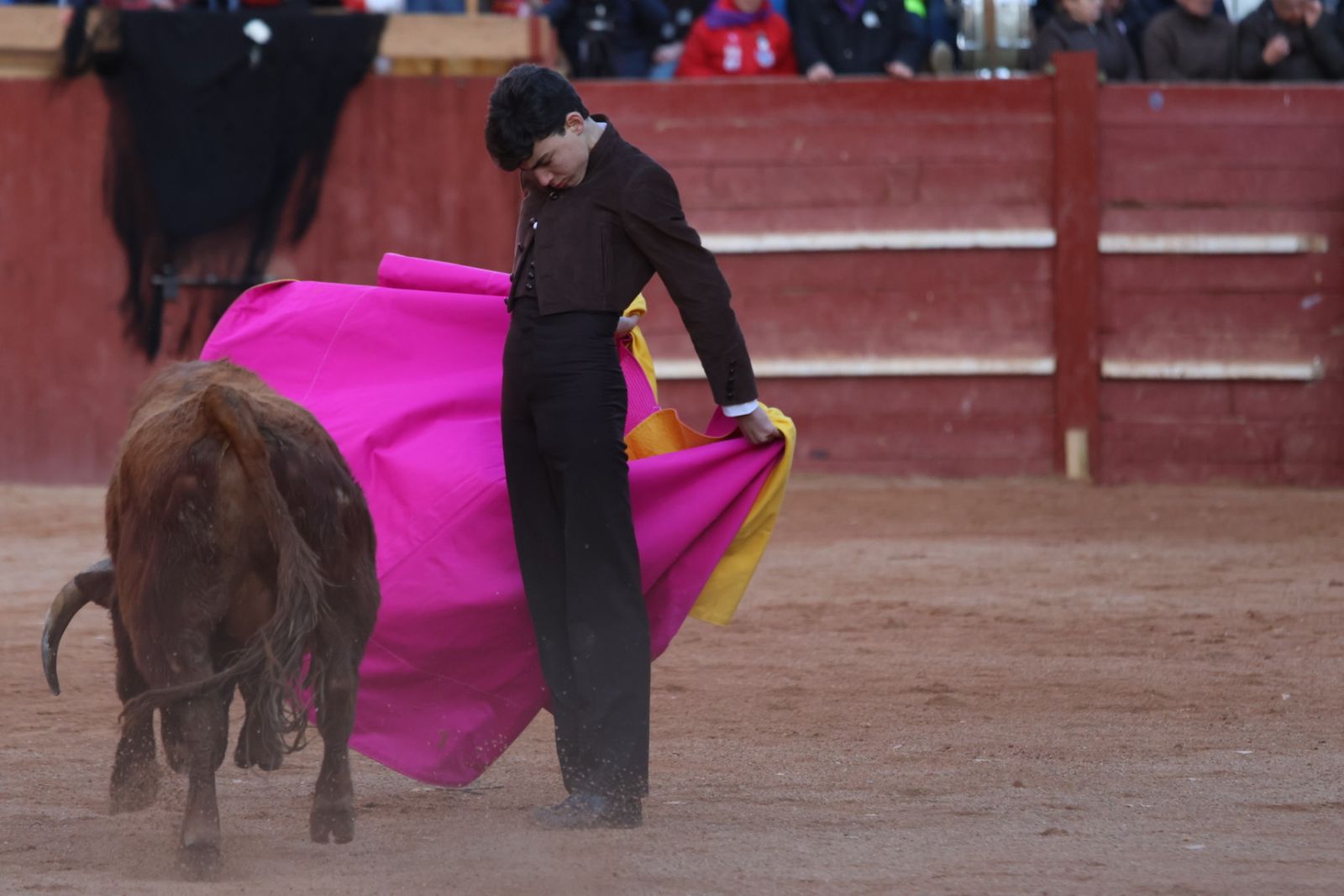 Festival taurino del Sábado en el Carnaval del Toro 2026 de Ciudad Rodrigo