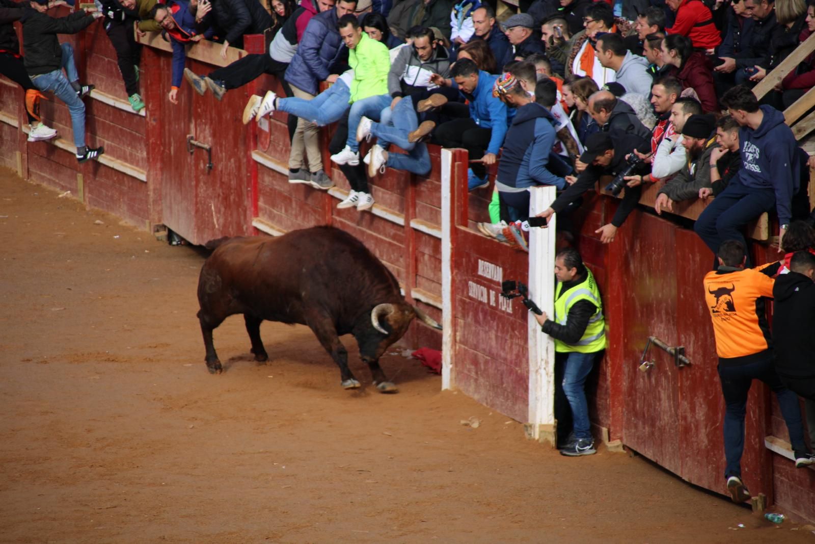 encierro-del-martes-de-carnaval-en-ciudad-rodrigo-13