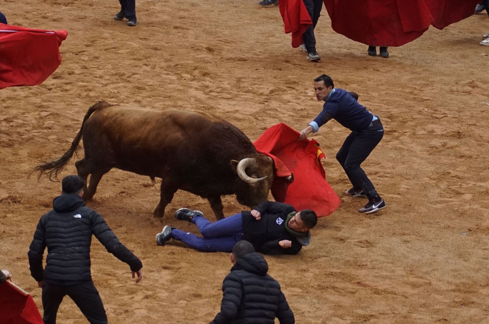 whatsapp-image-2025-03-03-at-14-50-26-1