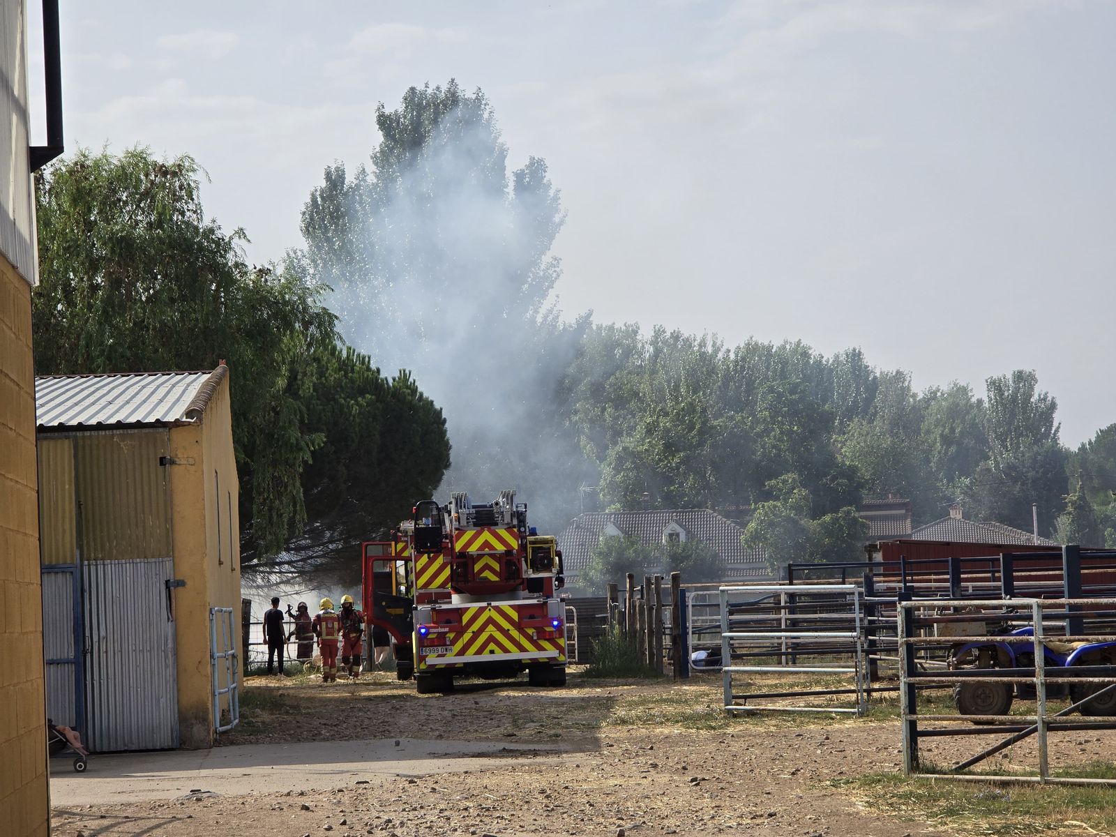 whatsapp-image-2024-08-29-at-10-55-41-1