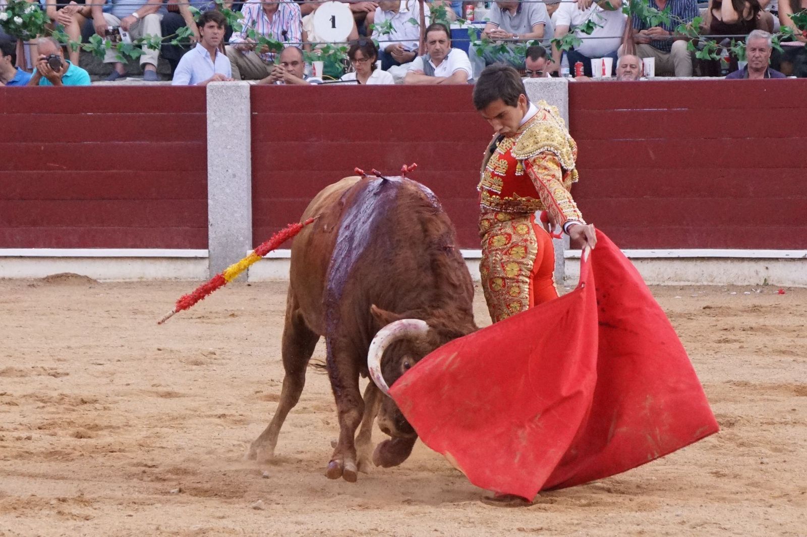 corrida-rejones-guijuelo-9