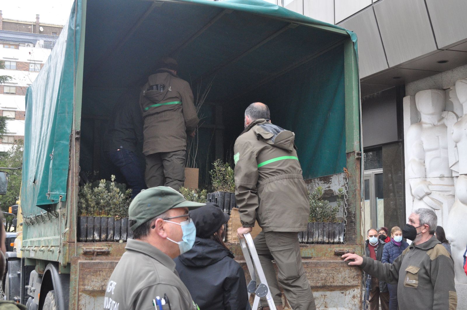 Entrega de árboles en la Junta 2