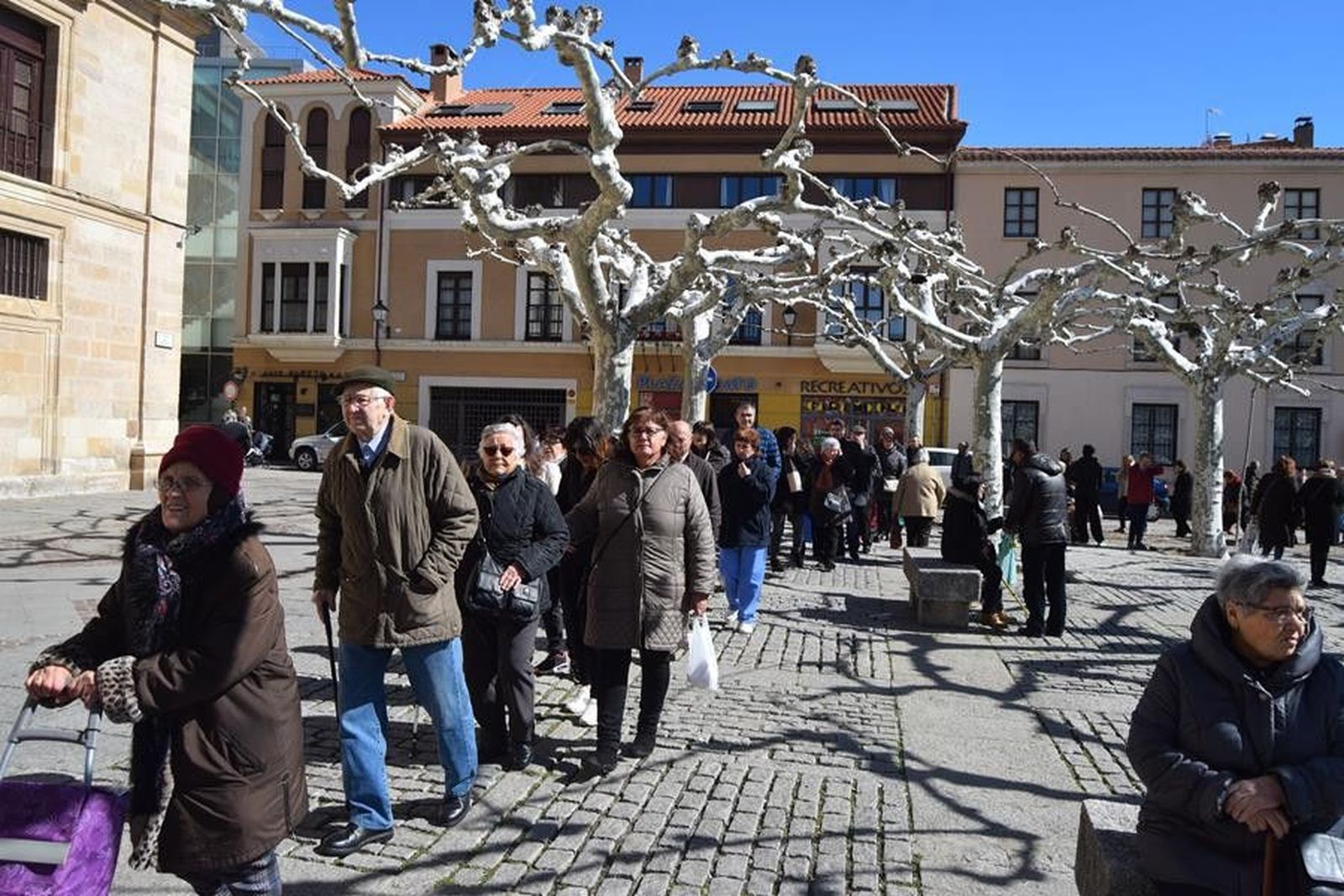 Dia Forestal 2018 Entrega Acebos Diputación (80)