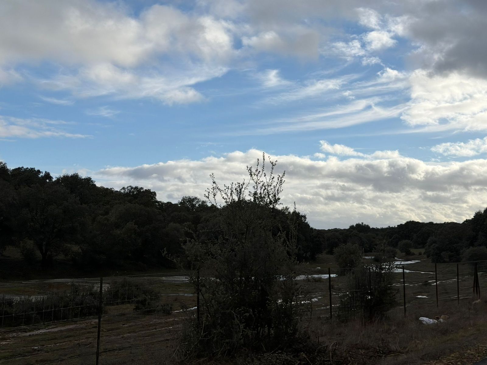 El campo anegado de agua en la zona del Campo Charro