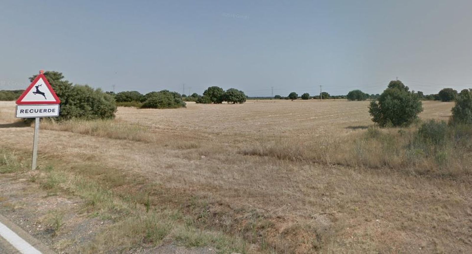 Imagen de una señal de peligro de fauna en la N 631