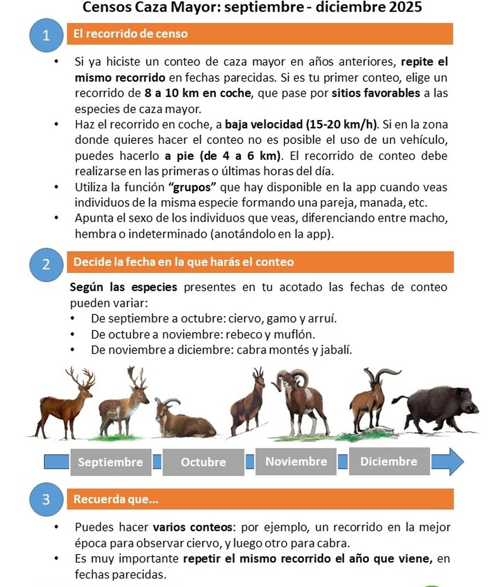 Campaña de censos de caza mayor del Observatorio Cinegético