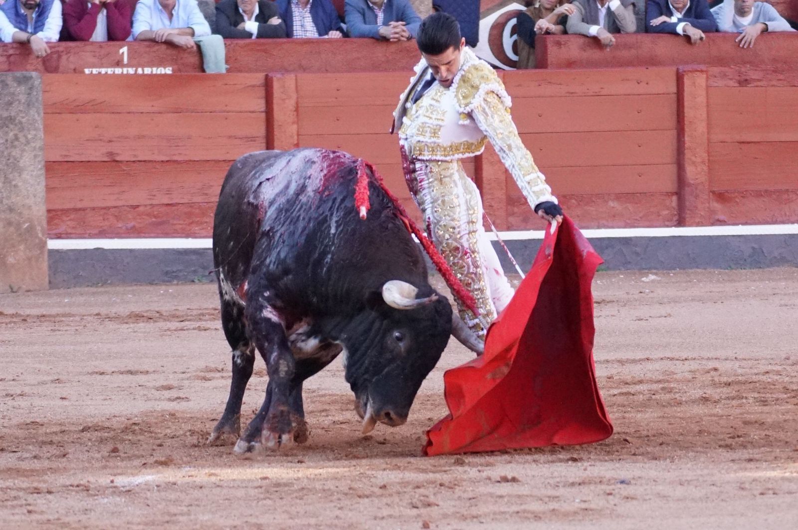 Alejandro Talavante con 'Resistenoches' de La Ventana del Puerto