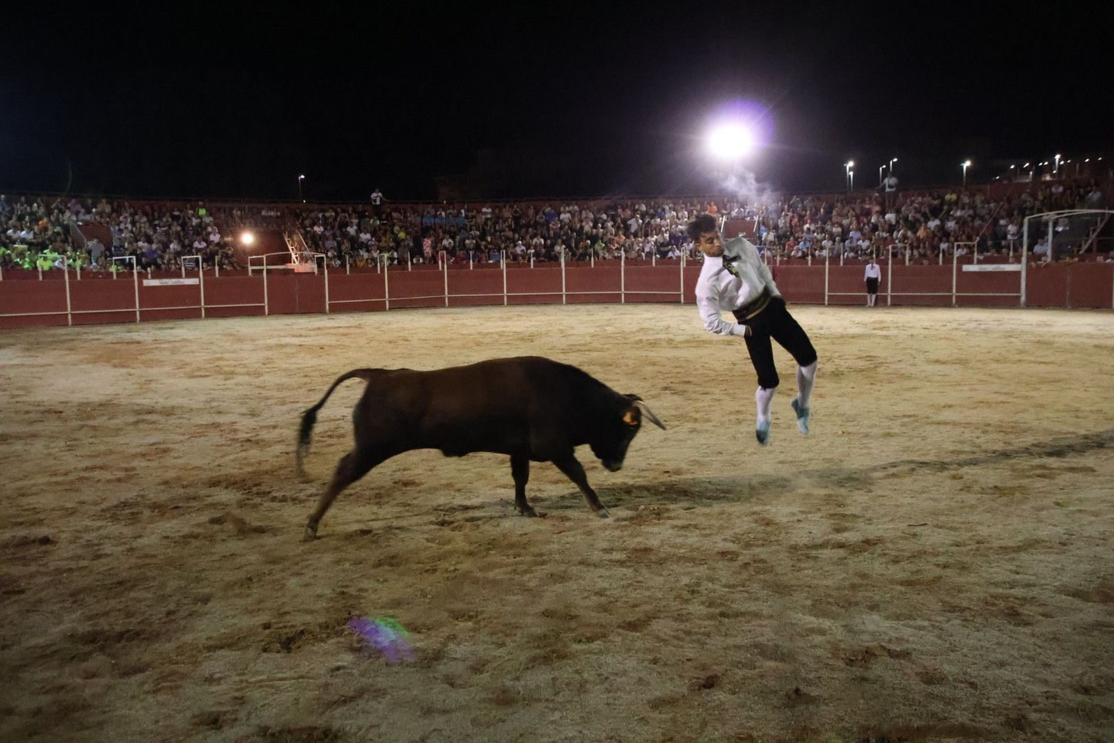 20230814215101-img-2166