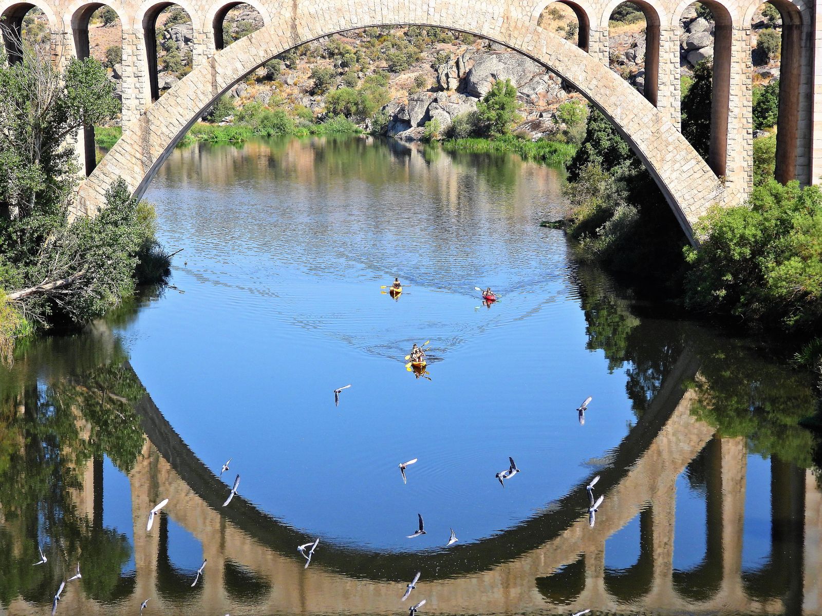 VOTO POPULAR Piraguas y palomas de Manuel José Sánchez
