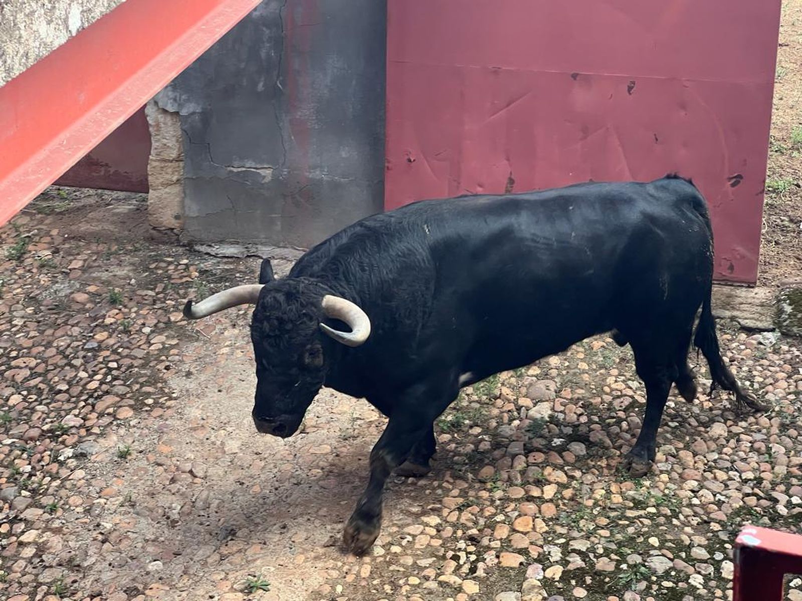 whatsapp-image-2023-09-17-at-12-50-30