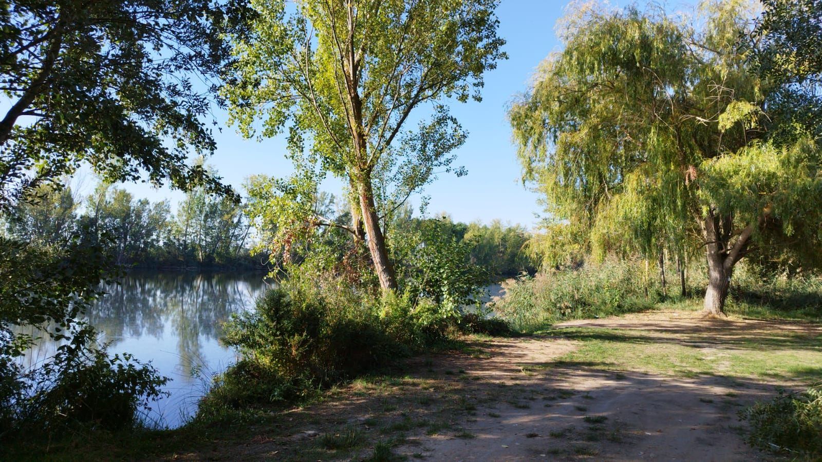 Río Tormes zona del ku en Cabrerizos (1)
