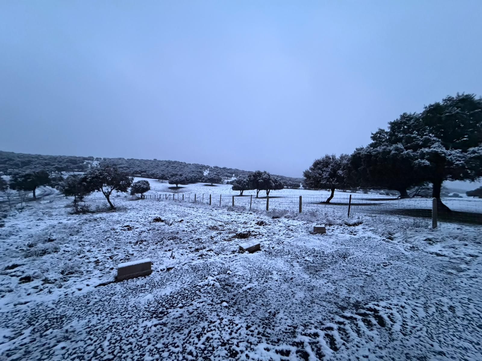 Nieve en Cuatro Calzadas y Guijuelo este sábado
