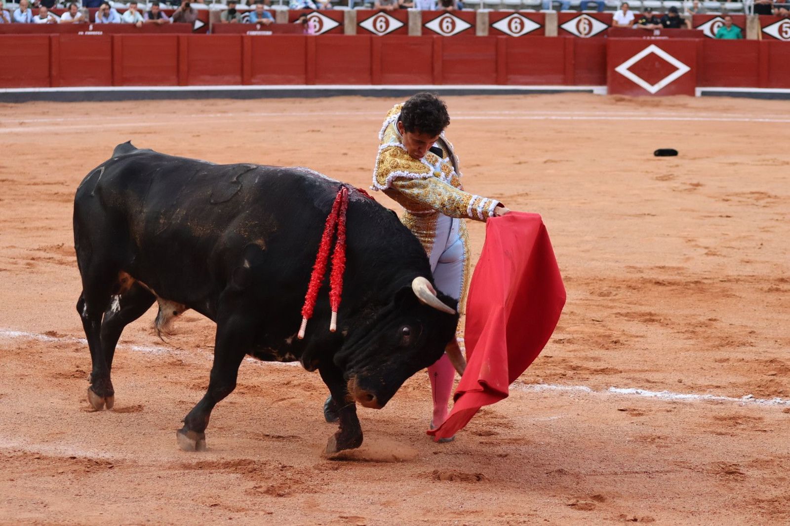 20230910190056-img-2217