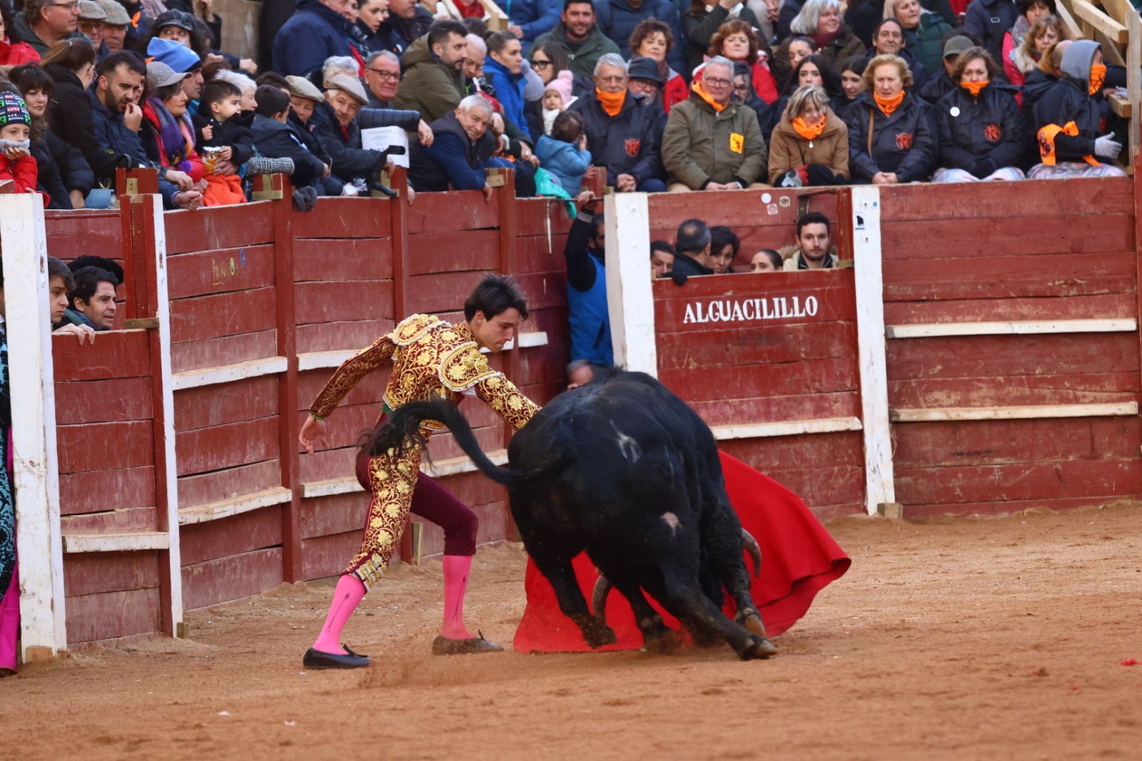 Novillada con picadores de lunes en el Carnaval del Toro de Ciudad Rodrigo 2026