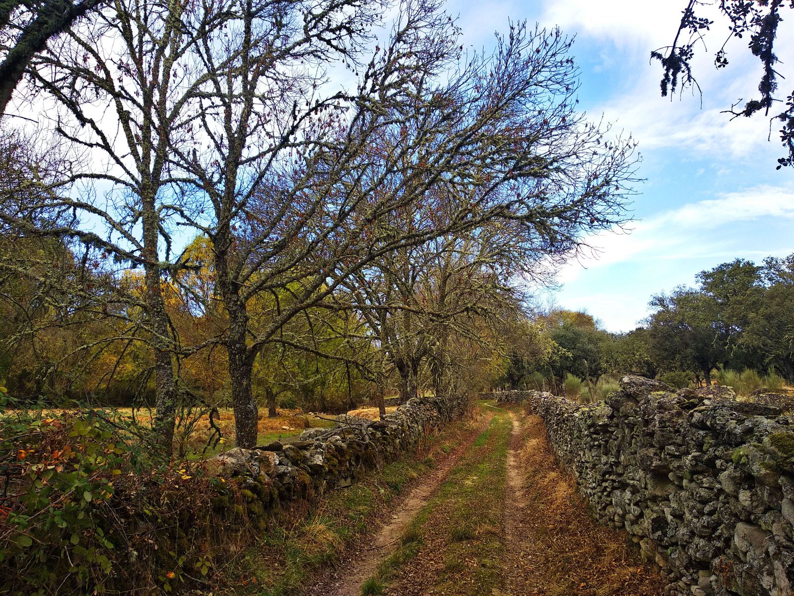 Foto Sendero Vitigudino Sostenible