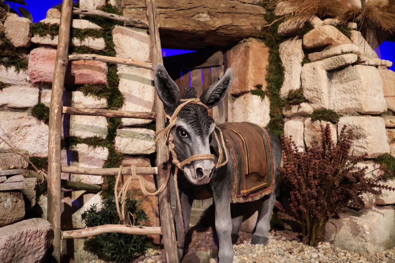 belen-municipal-en-la-iglesia-de-la-magdalena-2