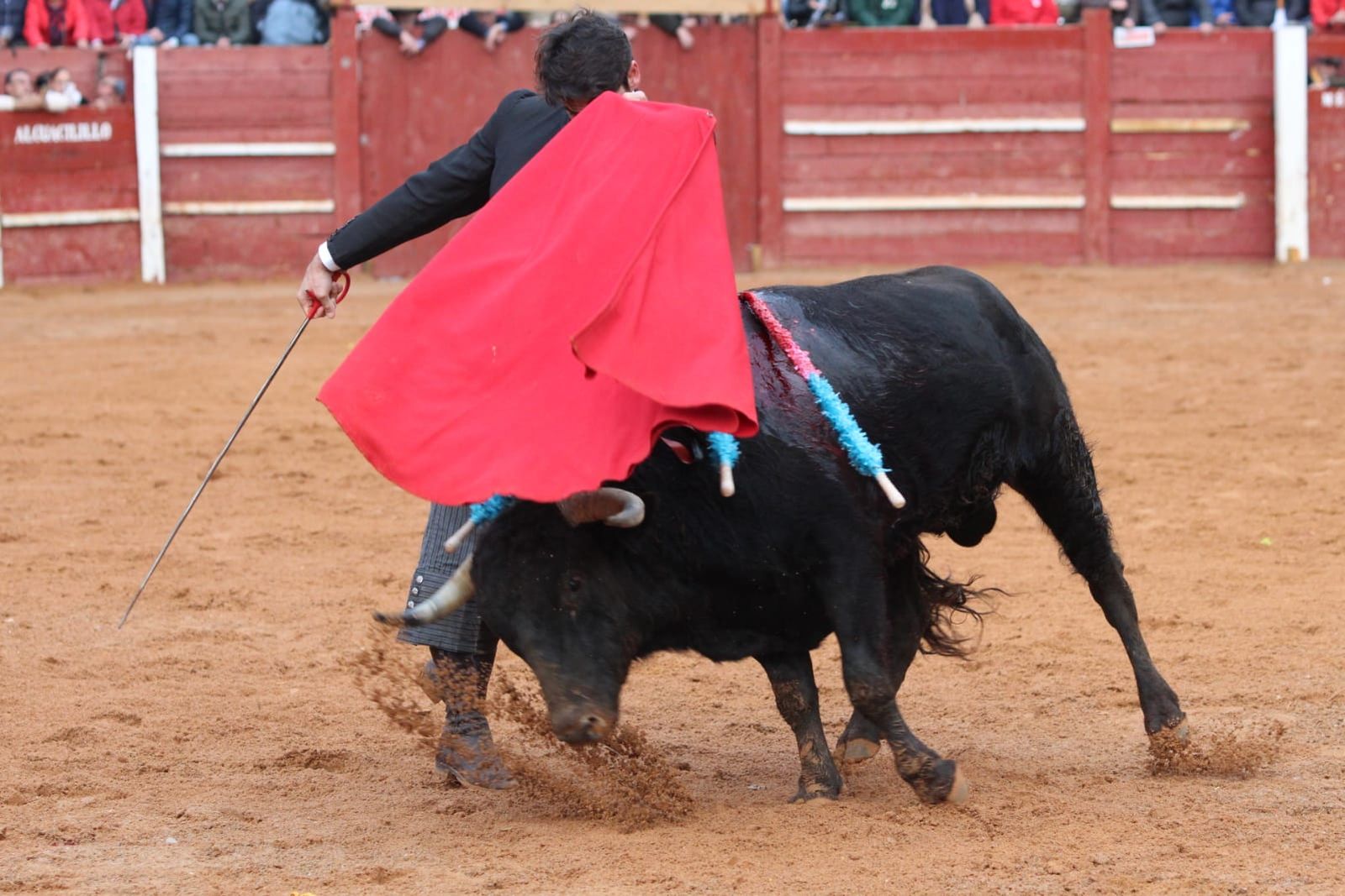 whatsapp-image-2023-02-21-at-17-38-15