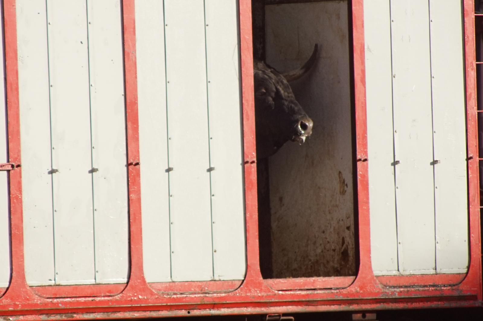 whatsapp-image-2023-09-08-at-19-29-35