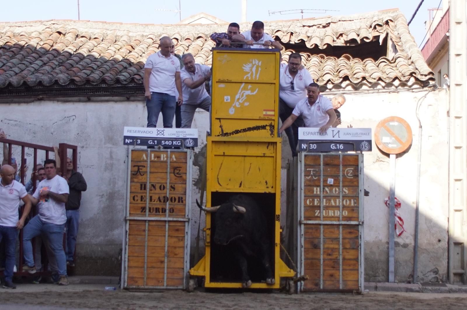 Toro del cajón y capea en Alba de Tormes