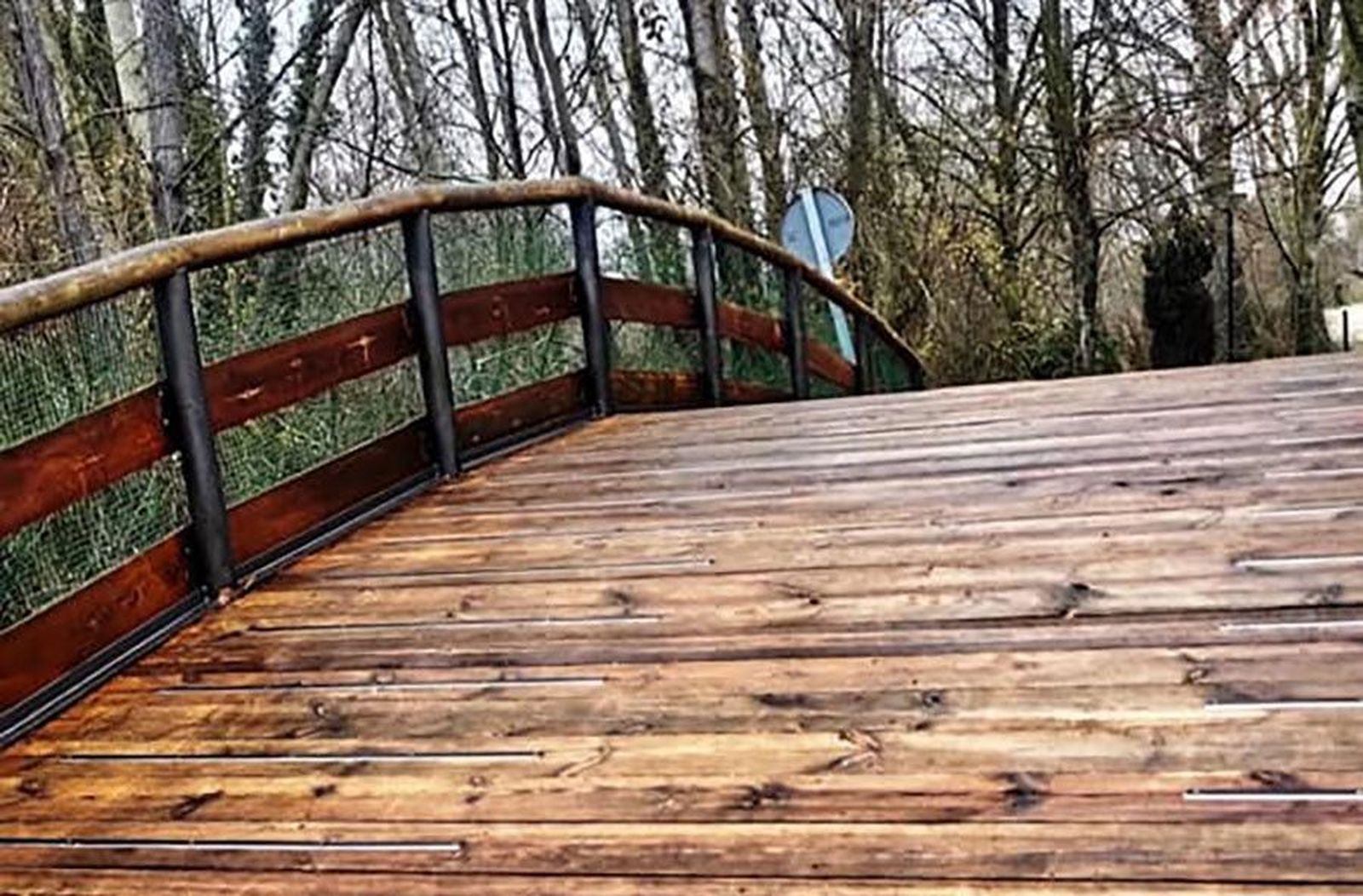 131955267 3060089204271588 829288029870752448 n