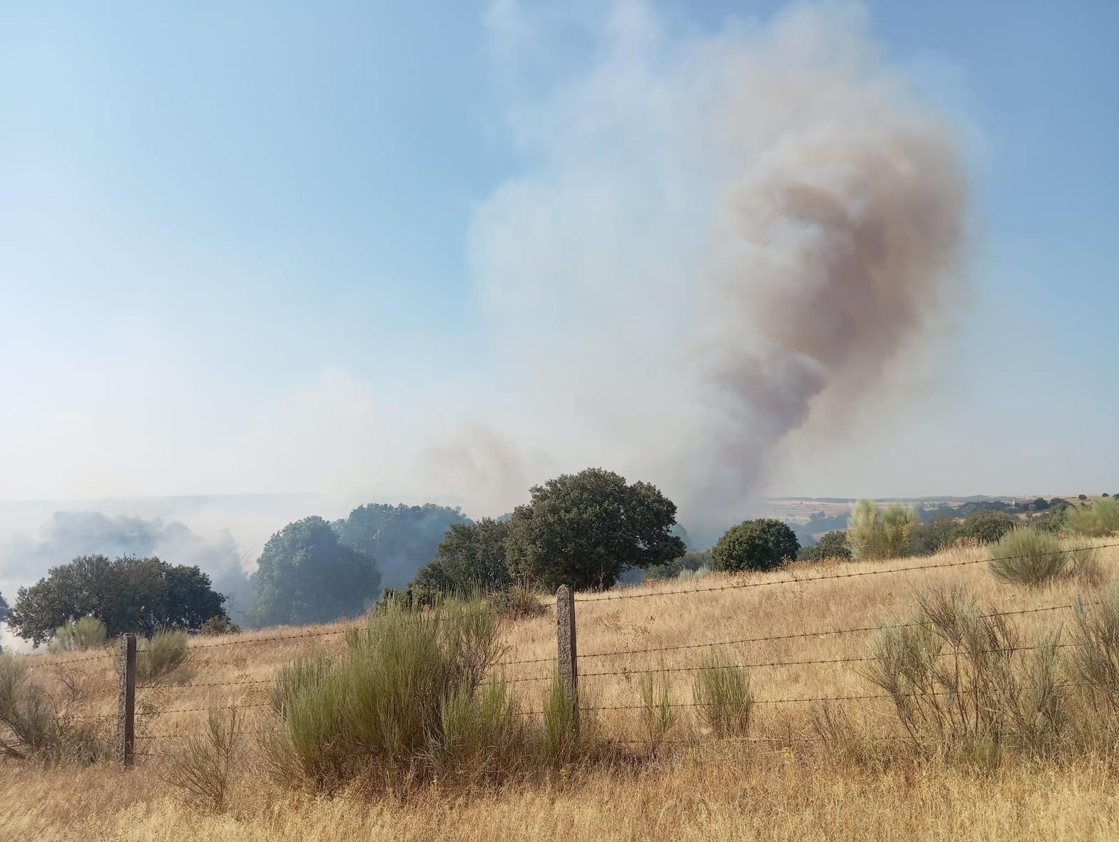 Incendio forestal declarado en Gallegos de Argañán