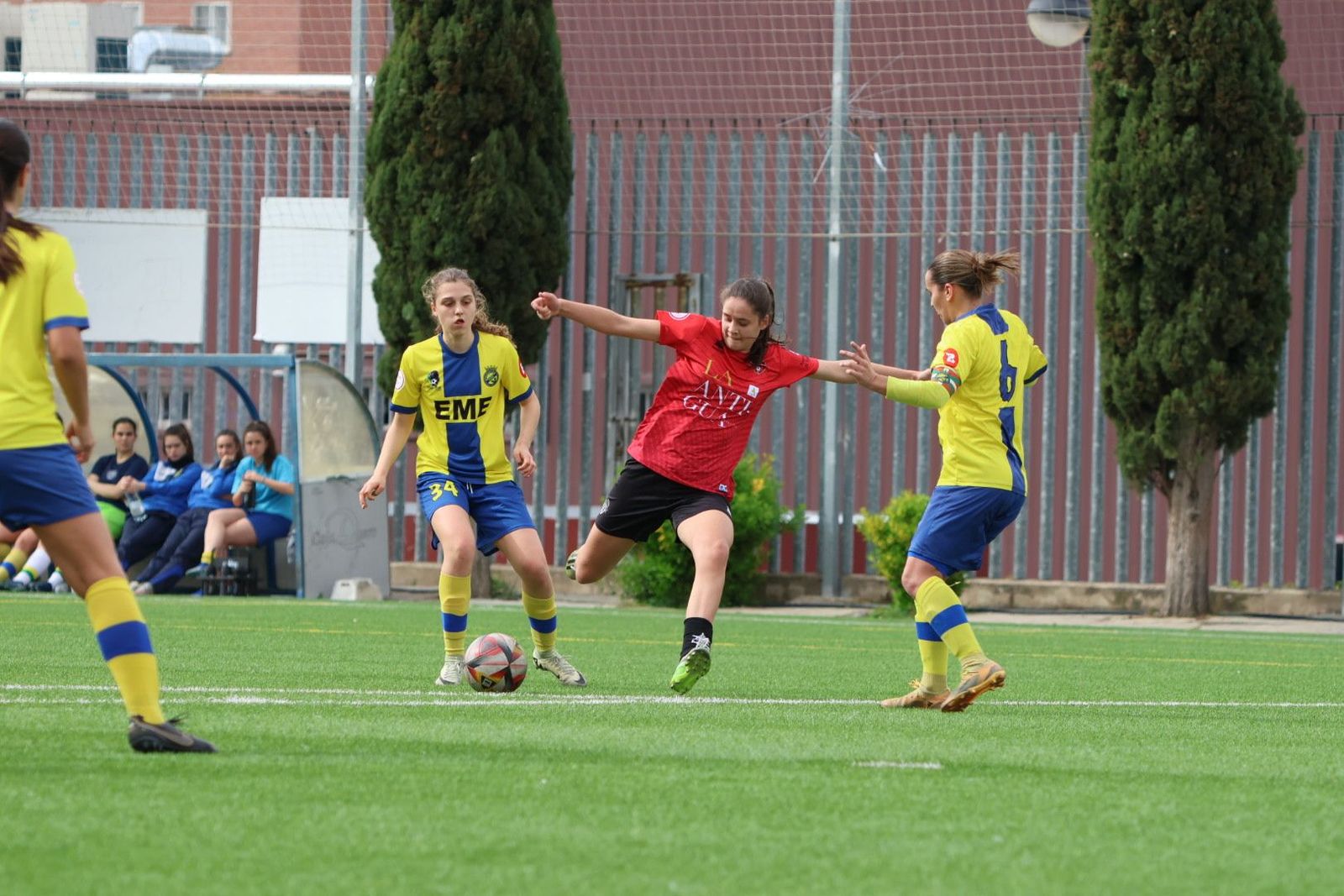 20240406103531-img-6473