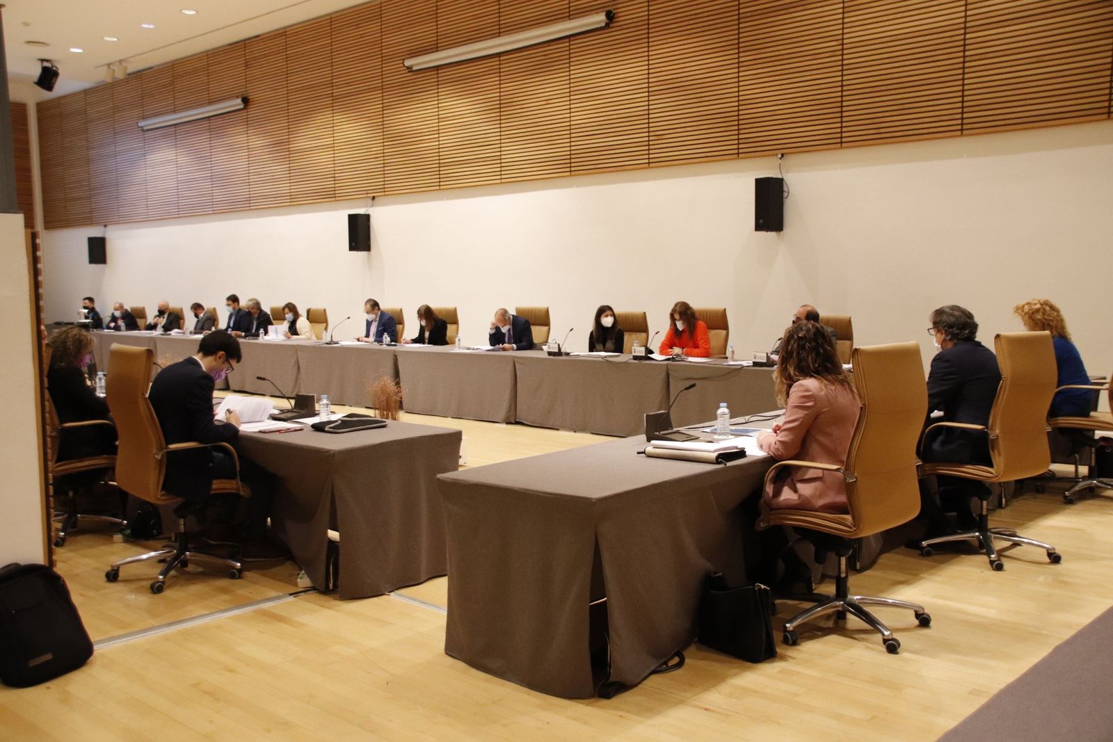 Pleno del Ayuntamiento