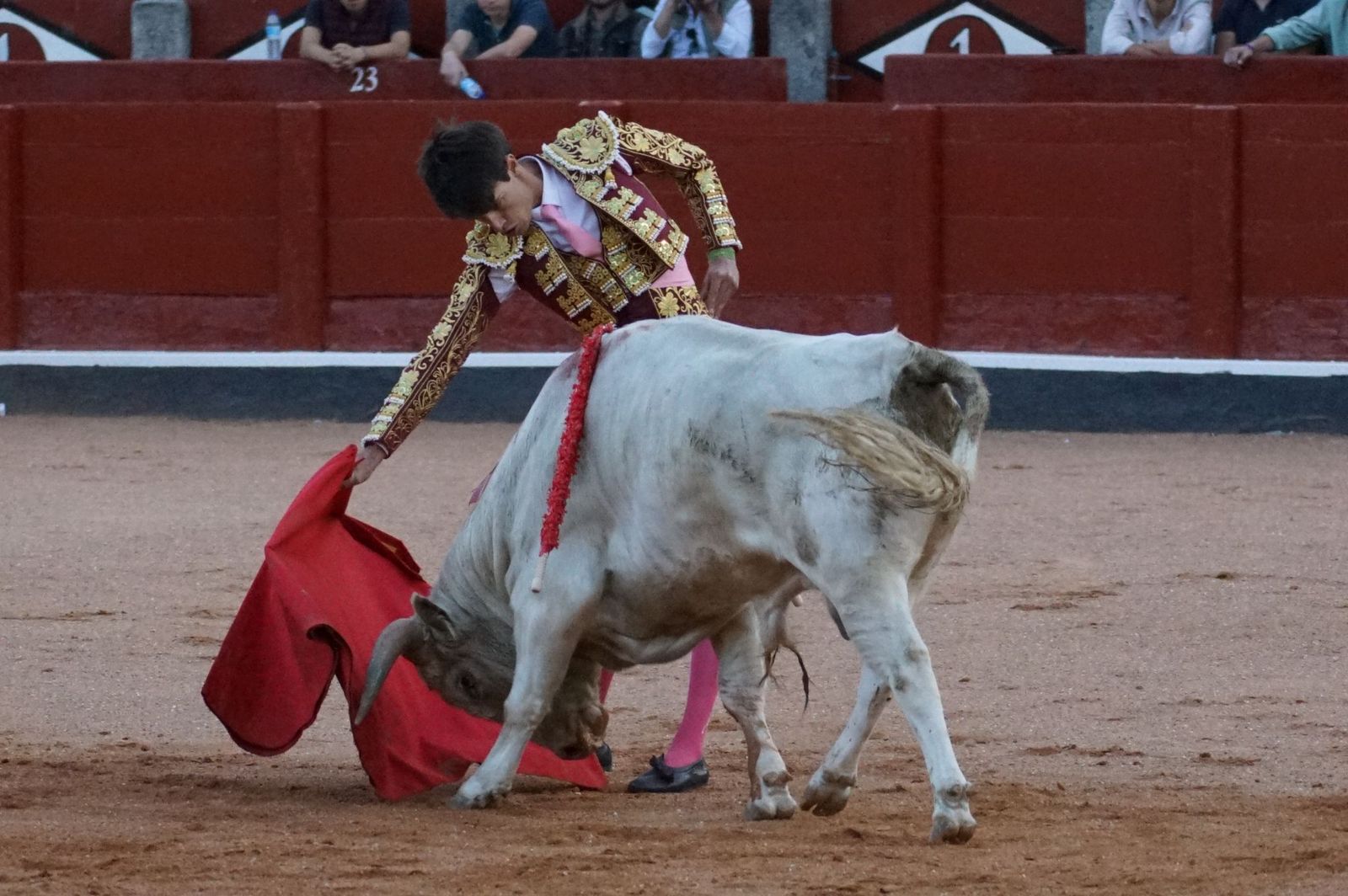 Clase práctica con alumnos de la Escuela de Tauromaquia de Salamanca (Diego Mateos, Noel García y Álvaro Rojo con erales de Esteban Isidro)