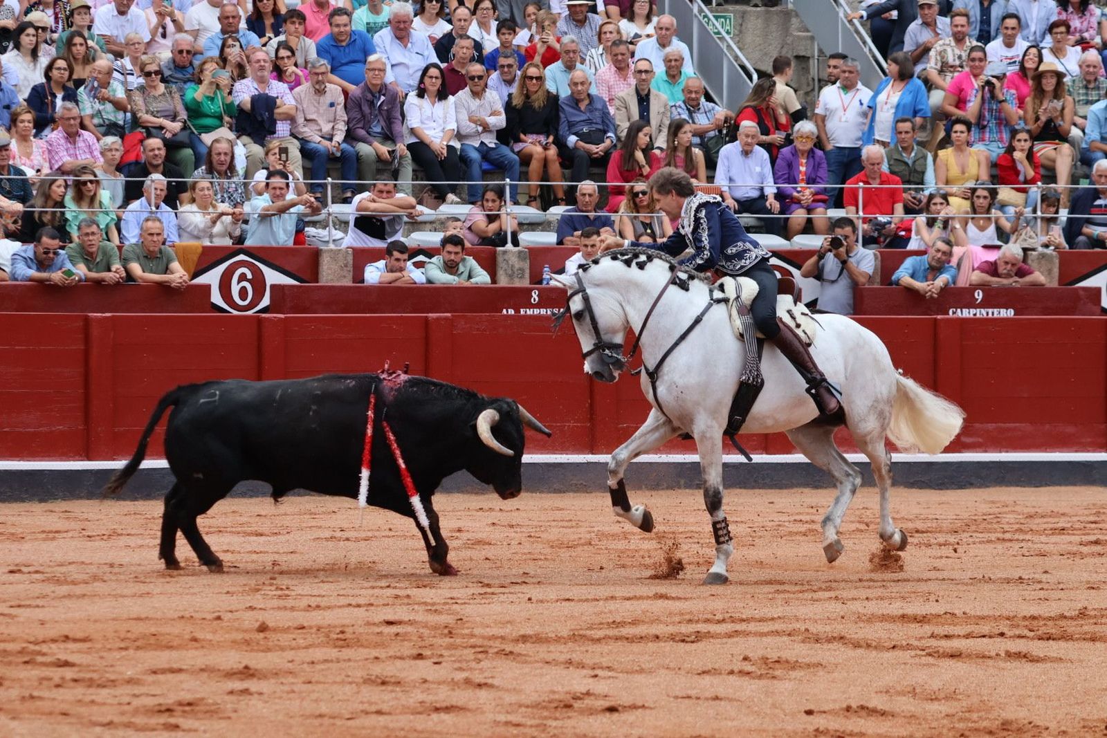 20230909172214-img-0435