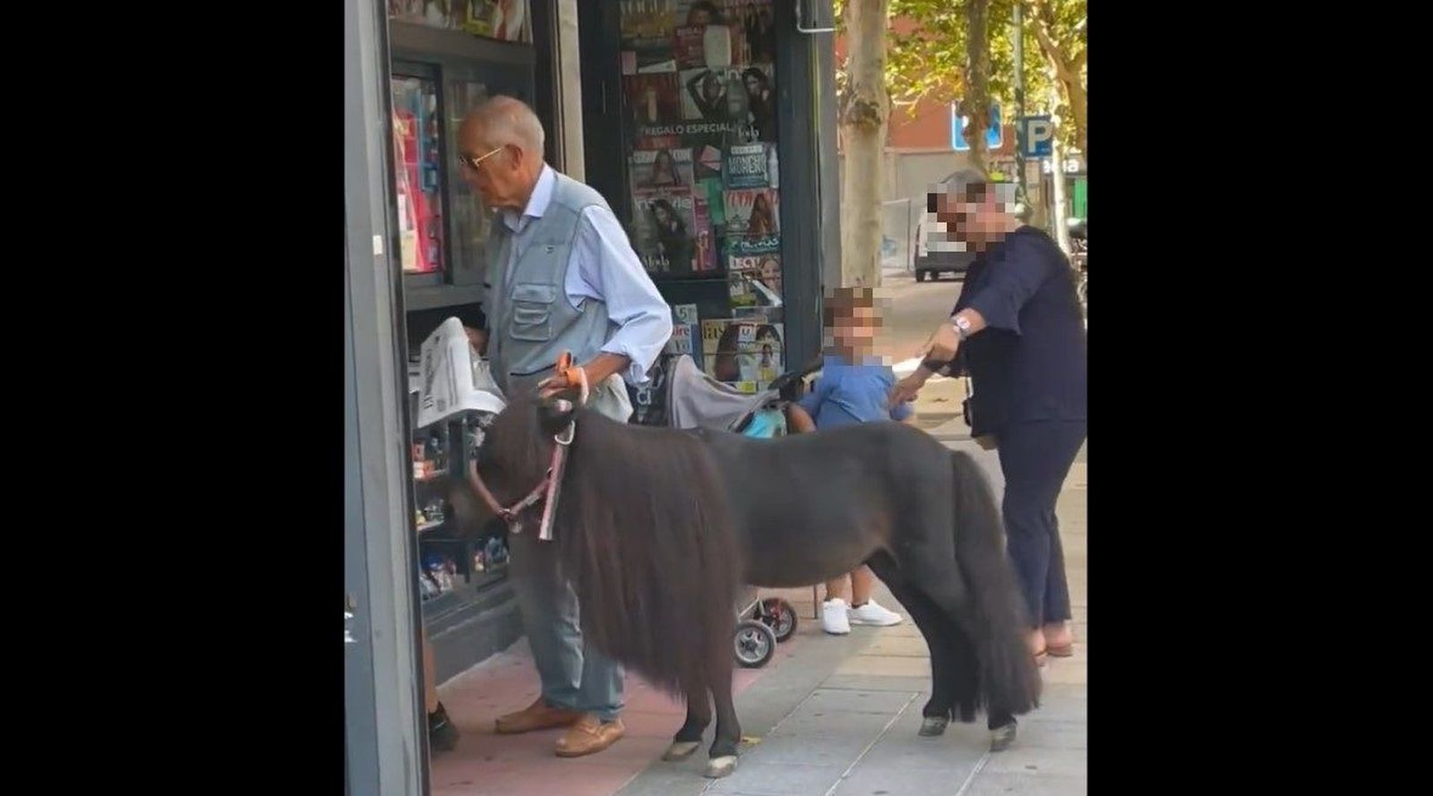 Varón pasea un pony por Valladolid | Foto vía 'X' @/nouser912813