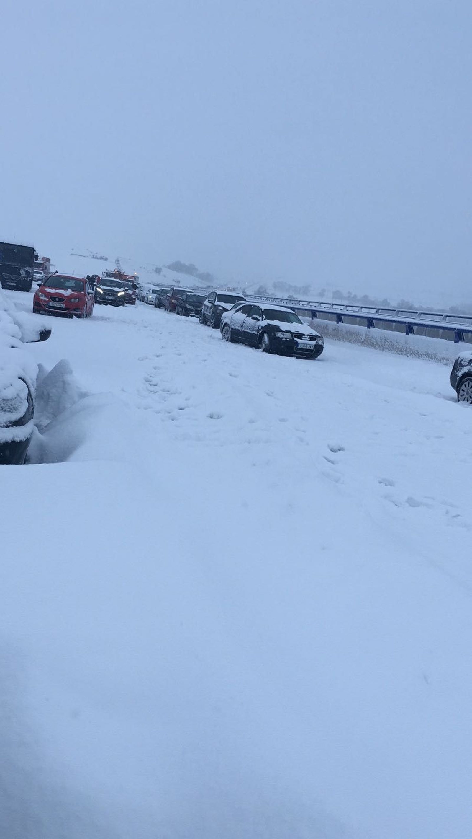 Nieve AP6 (3)