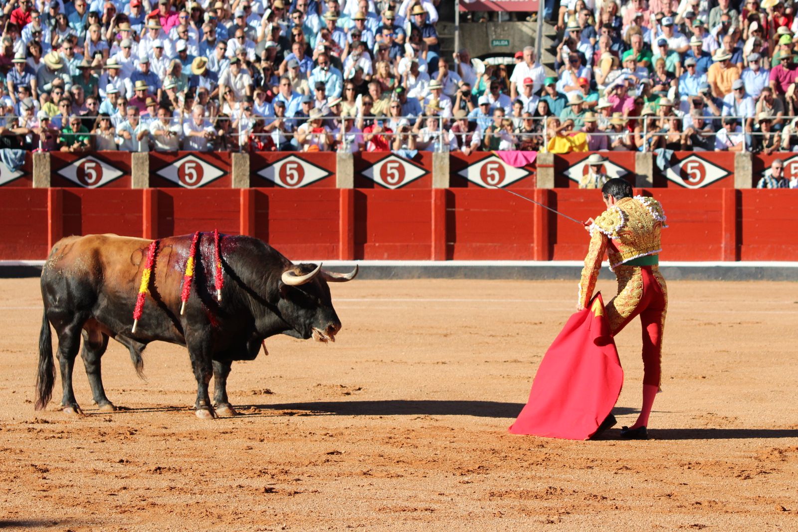 Emilio de Justo, Juan Ortega y Roca Rey inauguran el cartel de figuras en la feria de Salamanca: la corrida de Garcigrande en imágenes