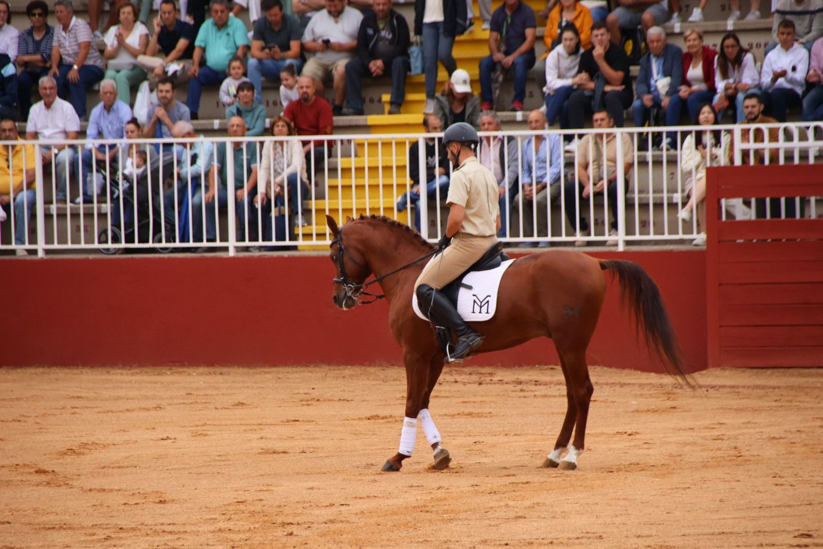 20230902111043-img-7041