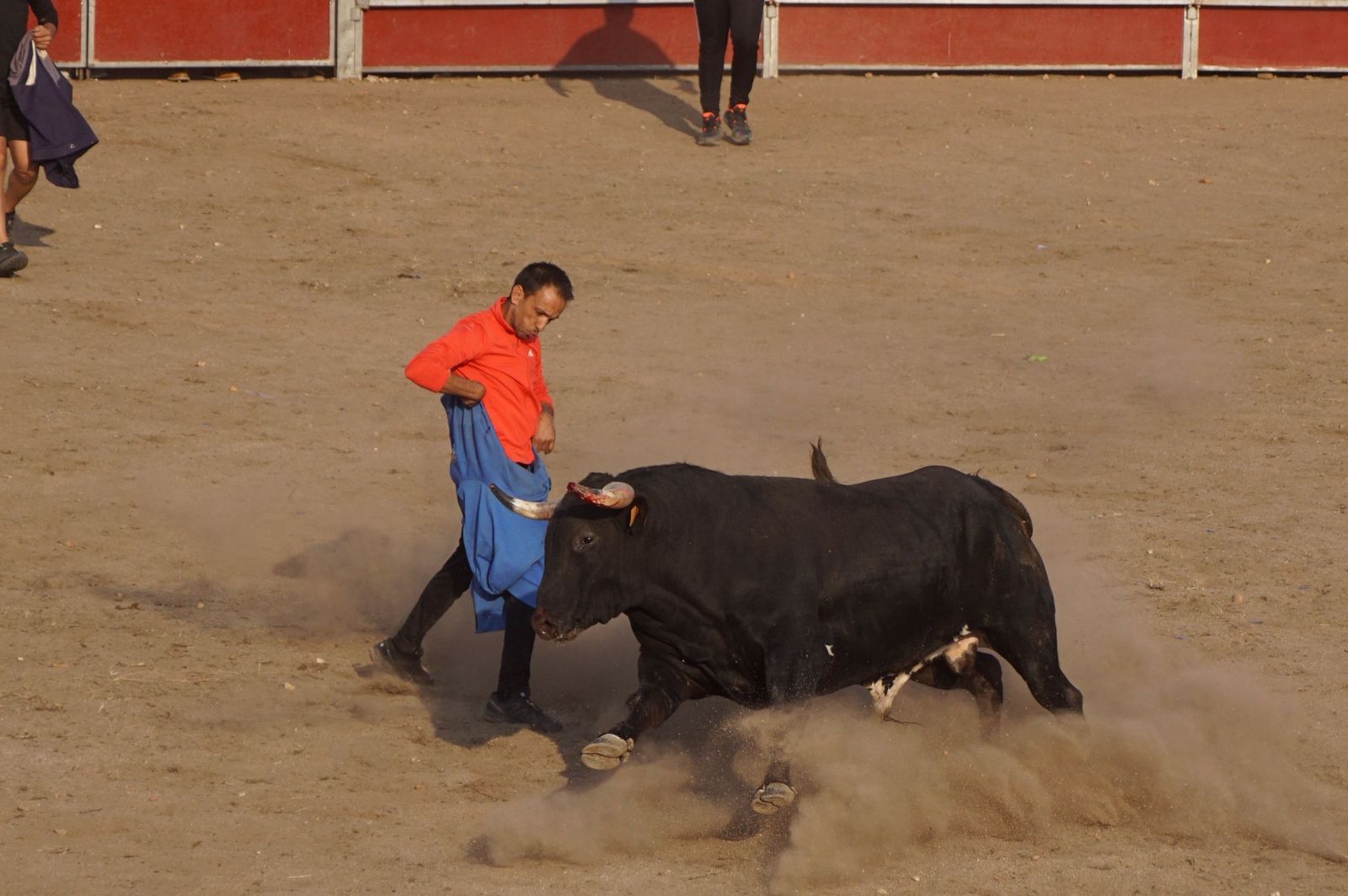 Carreras, risas y tradición: así se ha vivido El Toro en Santa Marta