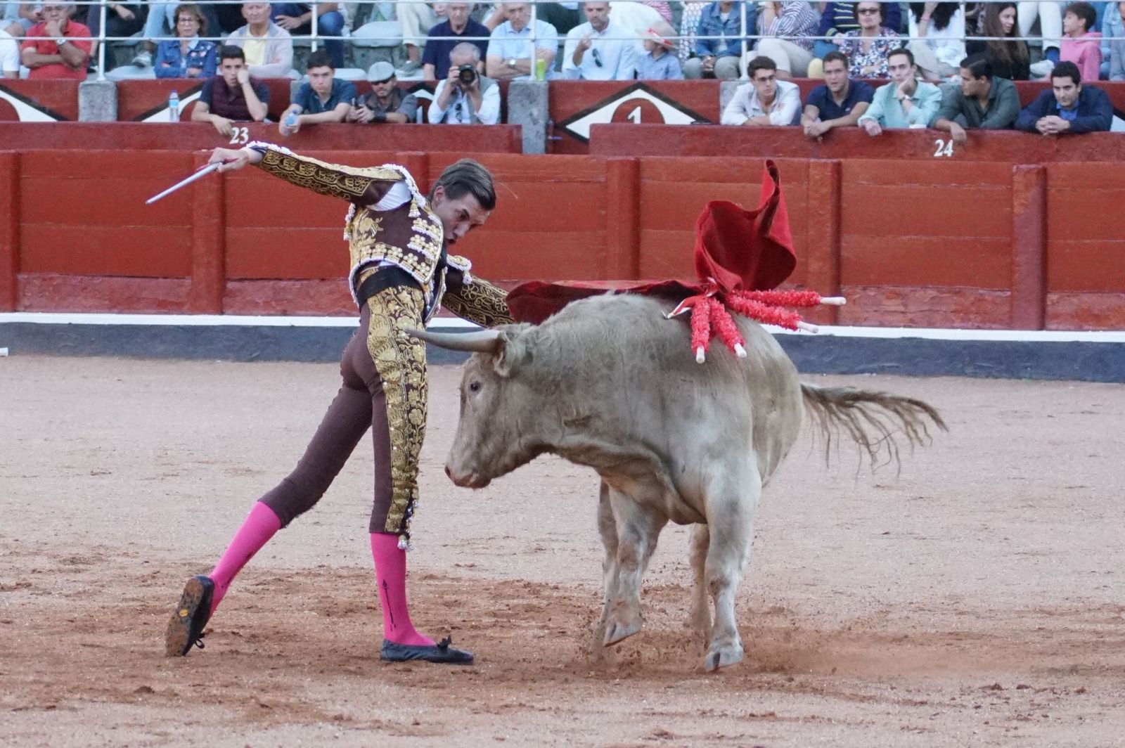 Clase práctica con alumnos de la Escuela de Tauromaquia de Salamanca (Diego Mateos, Noel García y Álvaro Rojo con erales de Esteban Isidro)