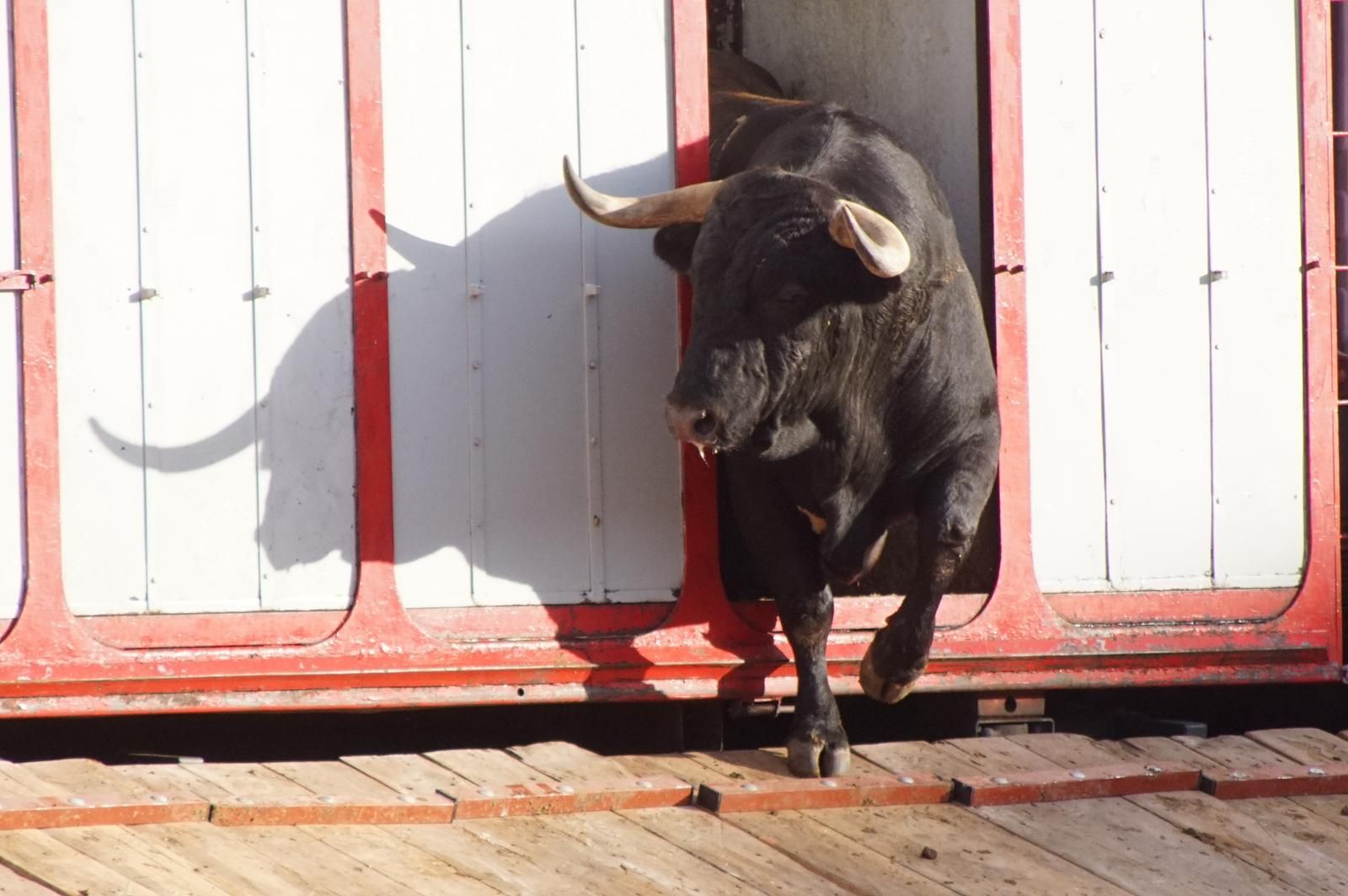 whatsapp-image-2023-09-08-at-19-29-36-1