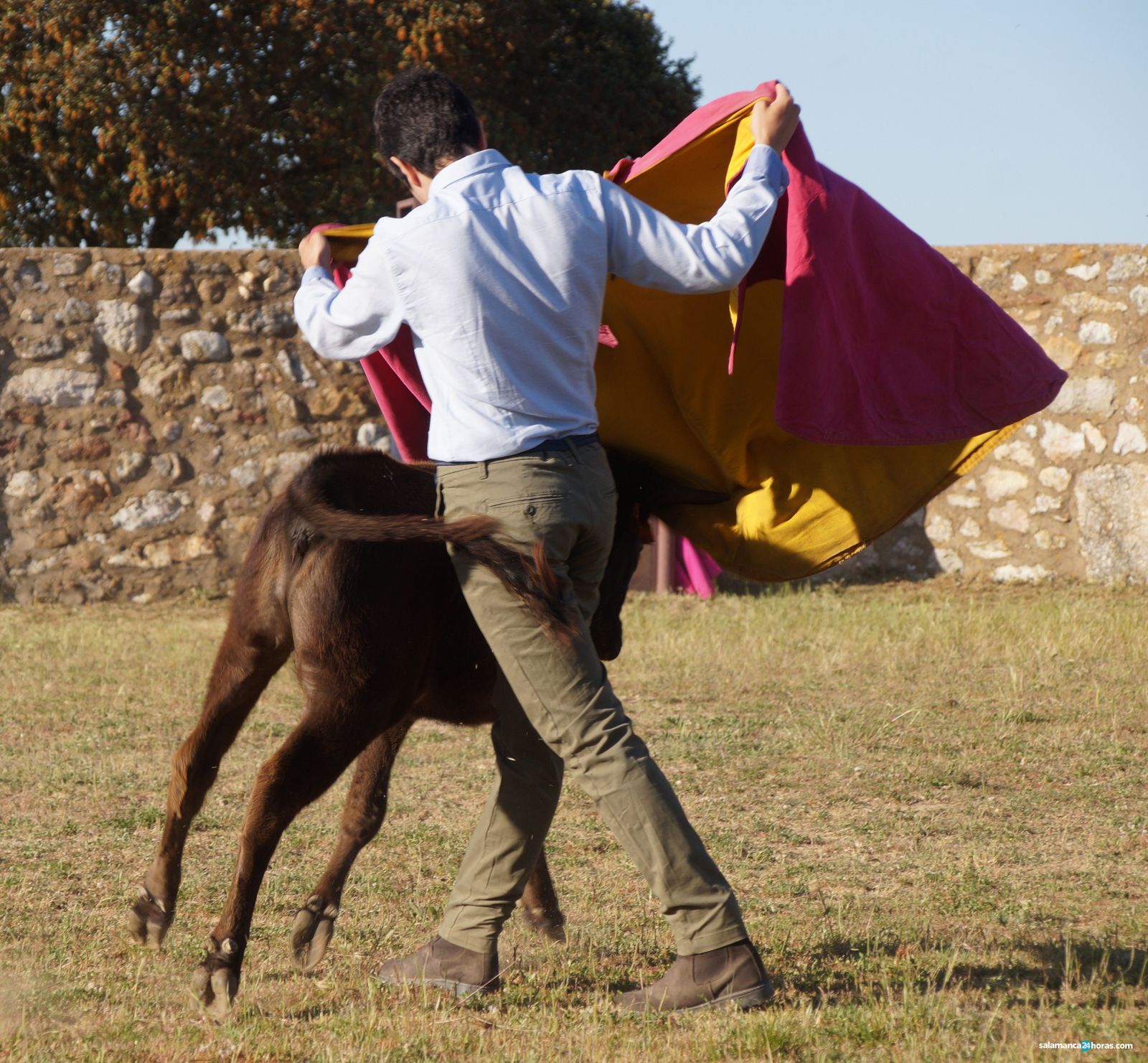 Escuela de Tauromaquia de Salamanca. Foto de archivo