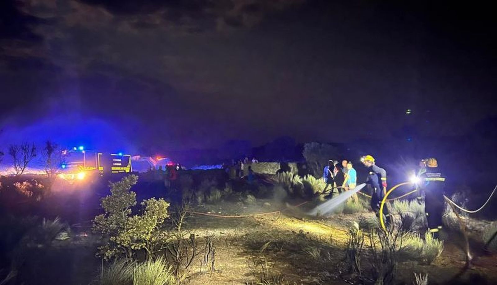 Incendio forestale entre Berganciano y Monleras. FOTO BOMBEROS LEDESMA (3)
