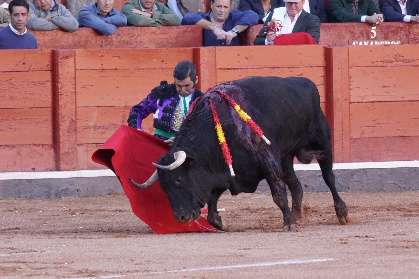 La corrida concurso para despedir la feria con Morante, Talavante y Borja Jiménez: imágenes de los mejores momentos en La Glorieta
