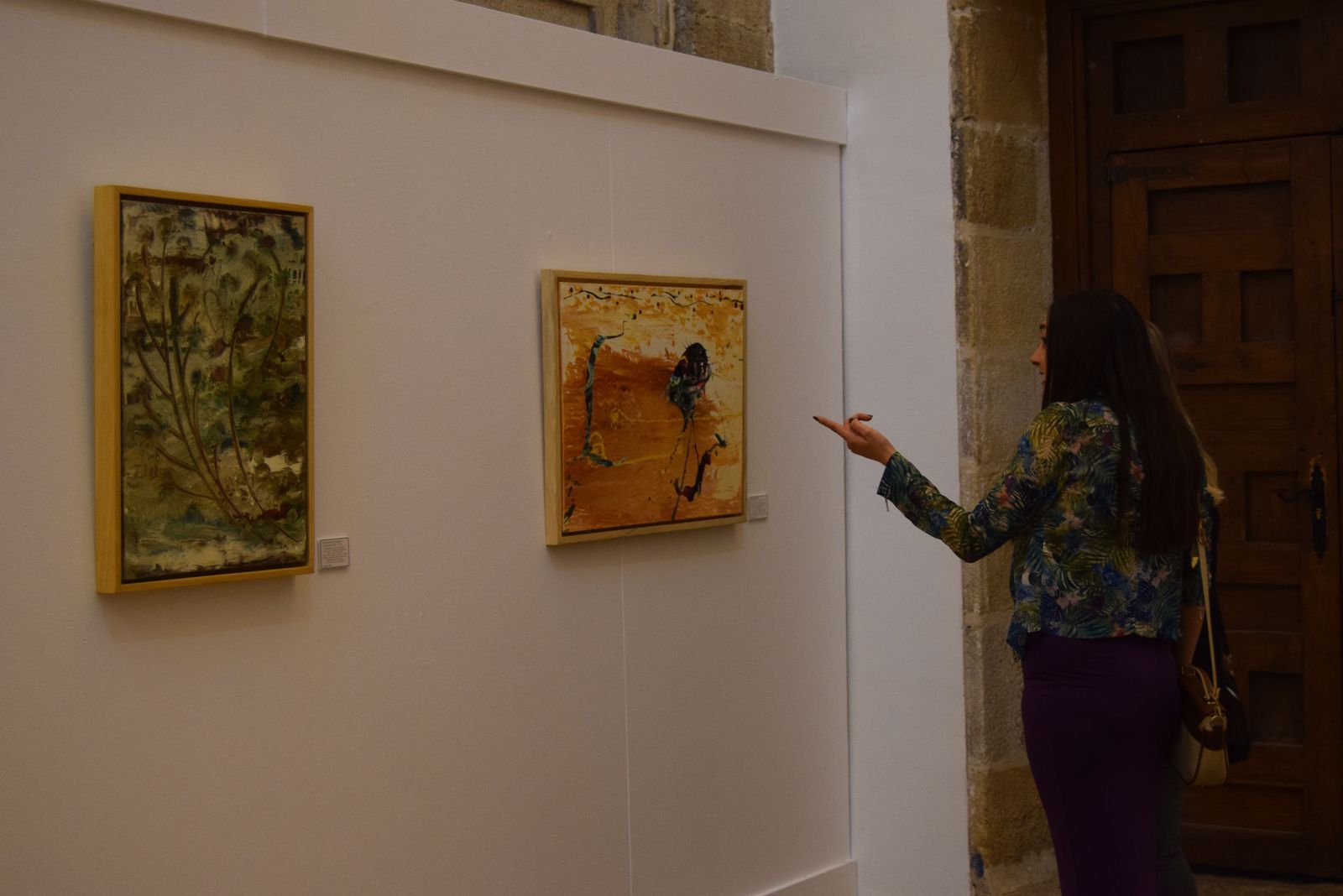 exposicion-de-anselmo-esteban-8