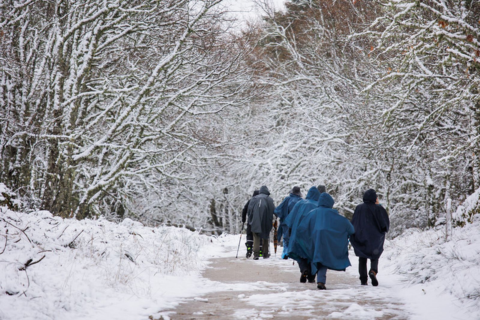 La nieve hace acto de presencia en el sur de la provincia de Salamanca
