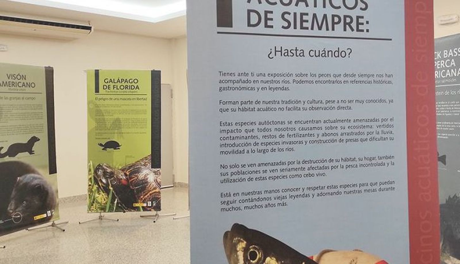 Exposición de animales acuáticos 
