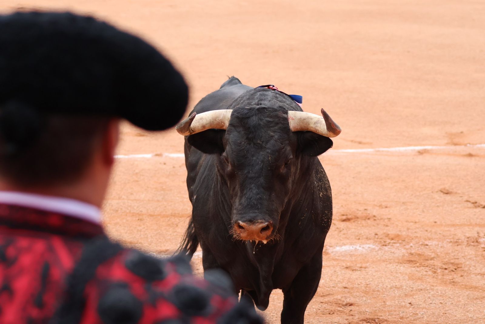 Ismael Martín, Marco Pérez y el aclamado regreso de Morante de la Puebla: su paso por La Glorieta en imágenes