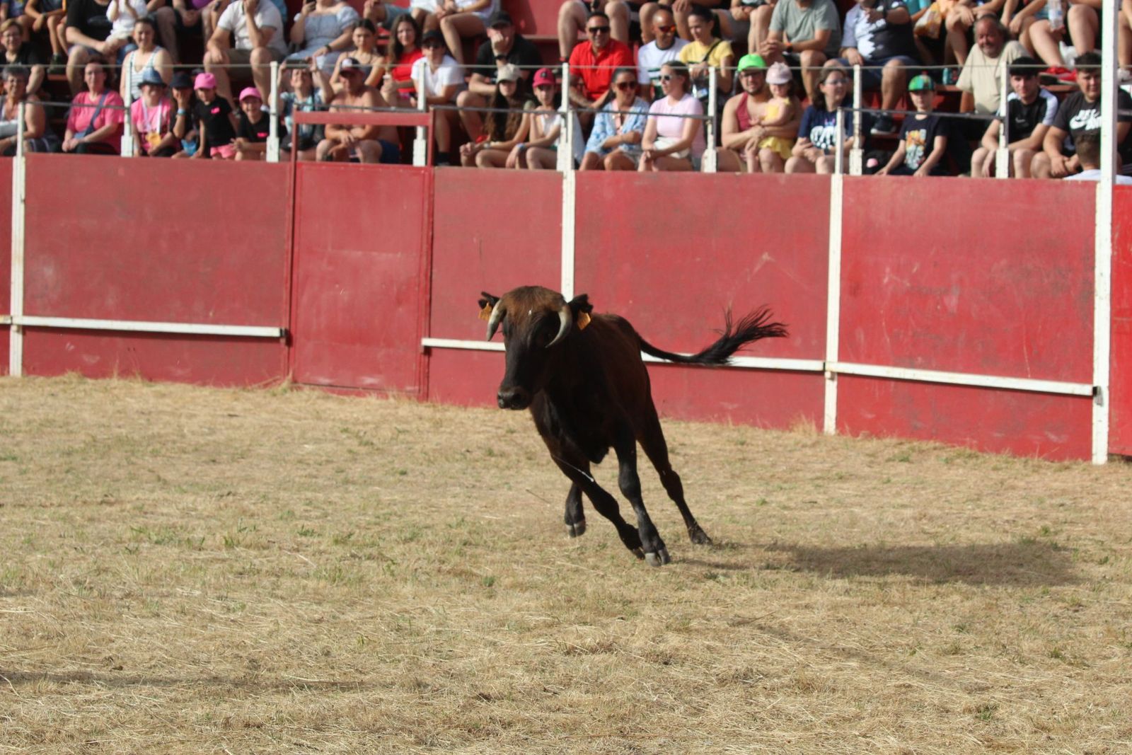 img-2184